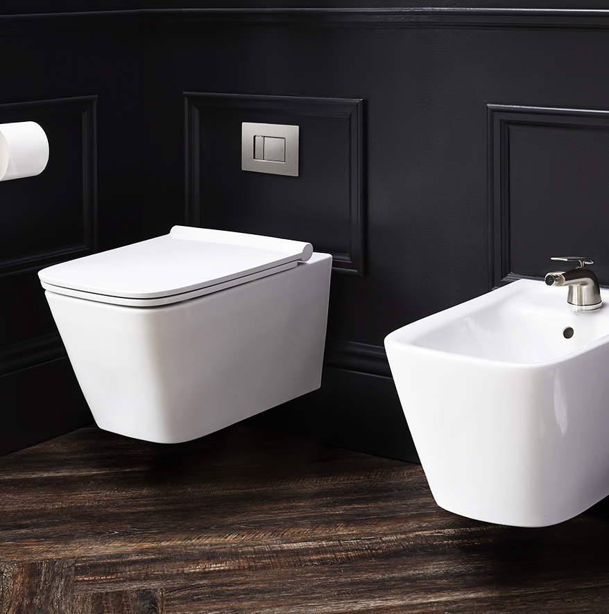 Wall-mounted toilet