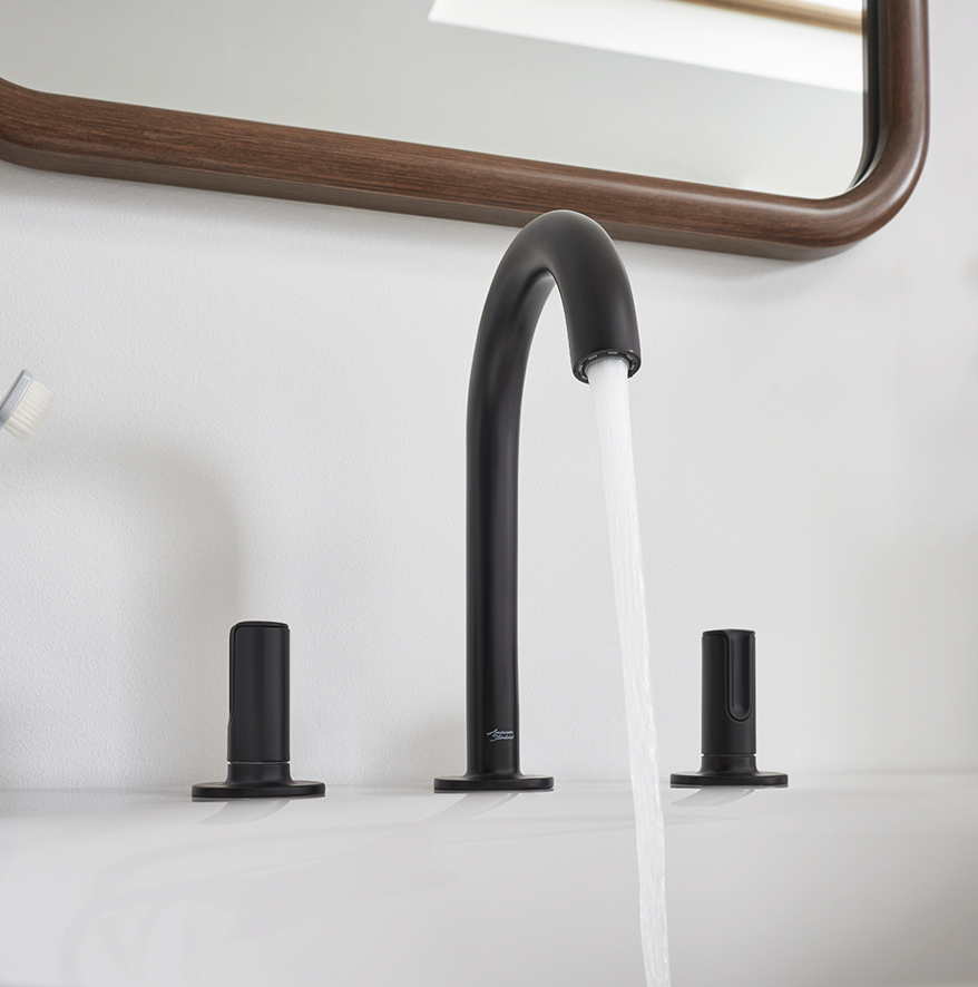 Black matte faucet in a sink
