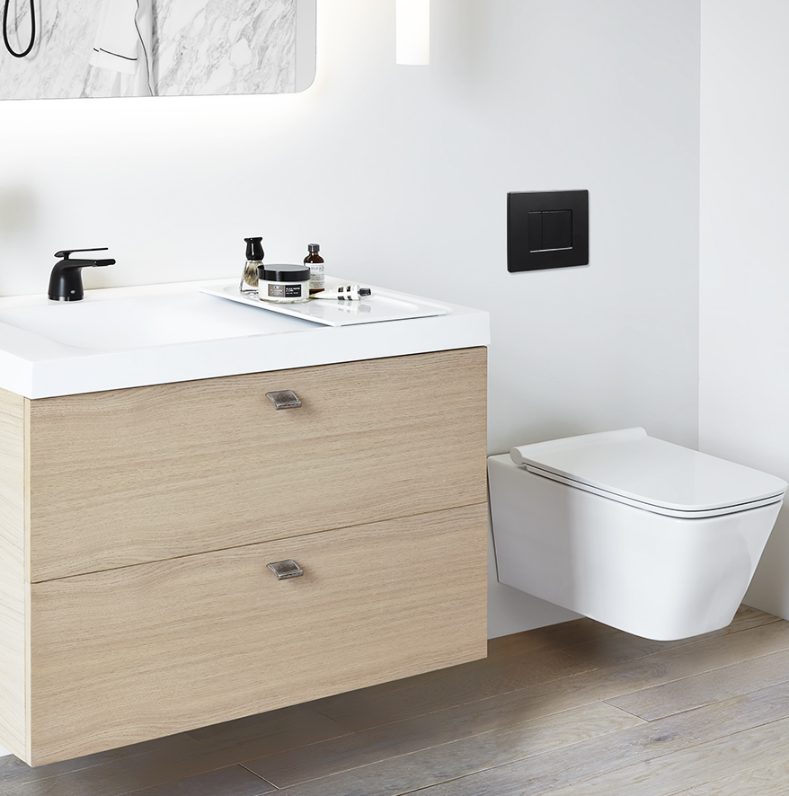 A toilet and a vanity