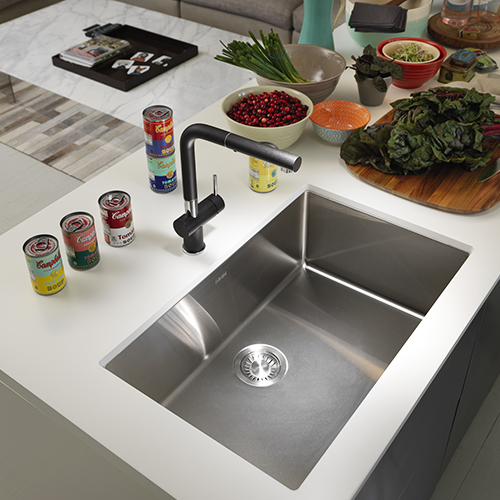 Franke Cube Single Bowl Stainless Steel Sink and Active Plus Faucet