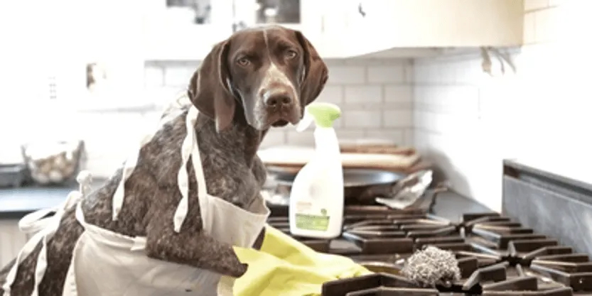 Modern kitchen design with easy-to-clean surfaces and smart organization for effortless maintenance