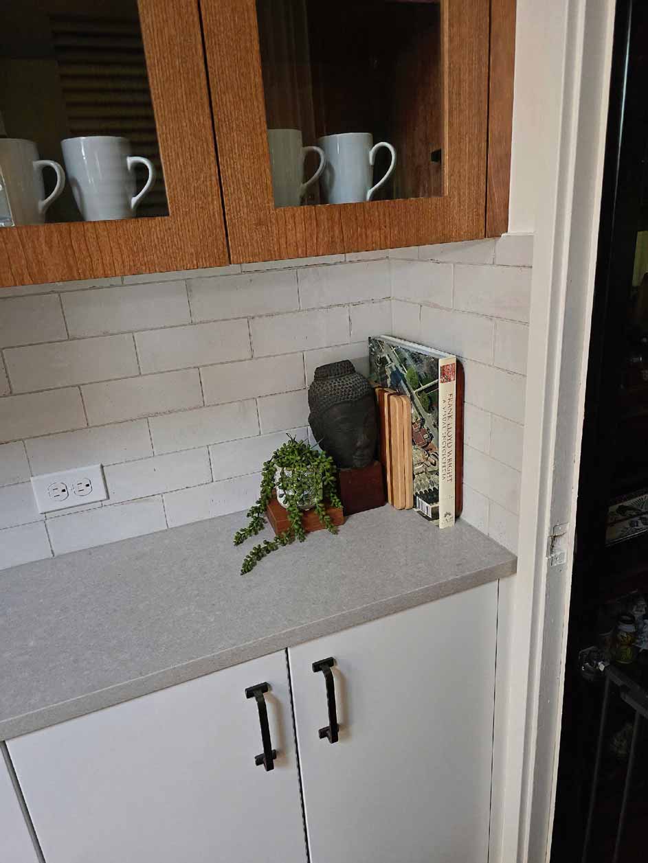 Countertop styling with small potted plant, decorative Buddha head, and cookbooks below upper cabinets